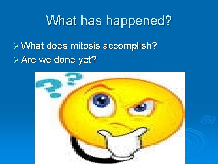 What has happened? Ø What does mitosis accomplish? Ø Are we done yet? 