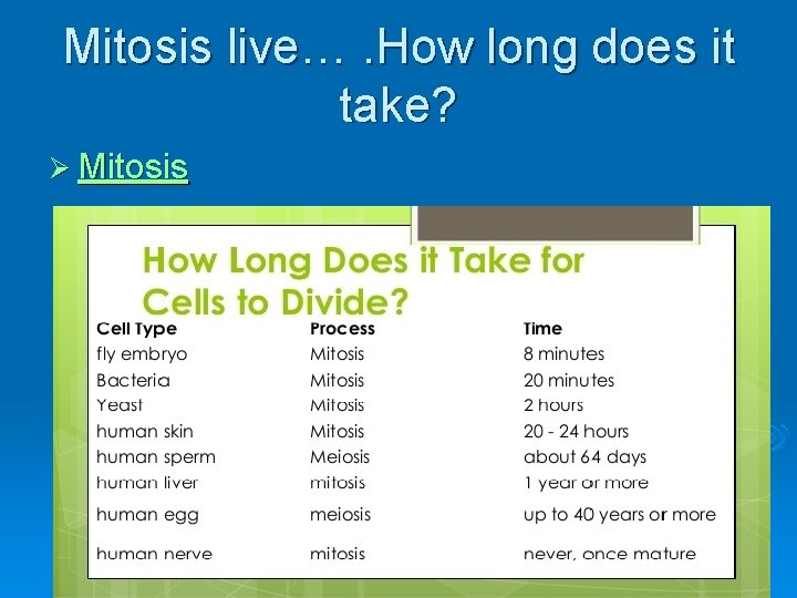 Mitosis live…. How long does it take? Ø Mitosis Mitosis live…. How long does it take? Ø Mitosis
