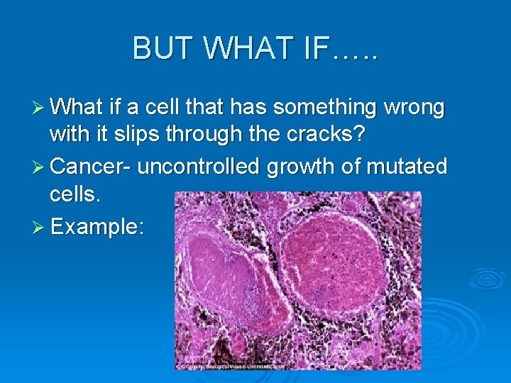 BUT WHAT IF…. . Ø What if a cell that has something wrong with