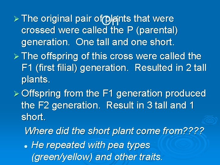 Ø The original pair of plants that were Ori crossed were called the P