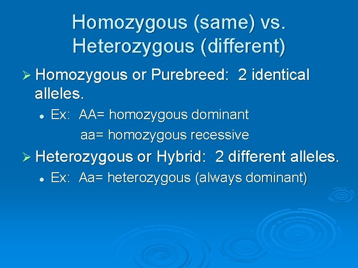 Homozygous (same) vs. Heterozygous (different) Ø Homozygous or Purebreed: 2 identical alleles. l Ex: