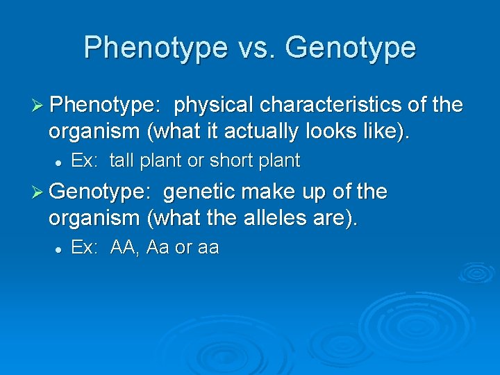 Phenotype vs. Genotype Ø Phenotype: physical characteristics of the organism (what it actually looks