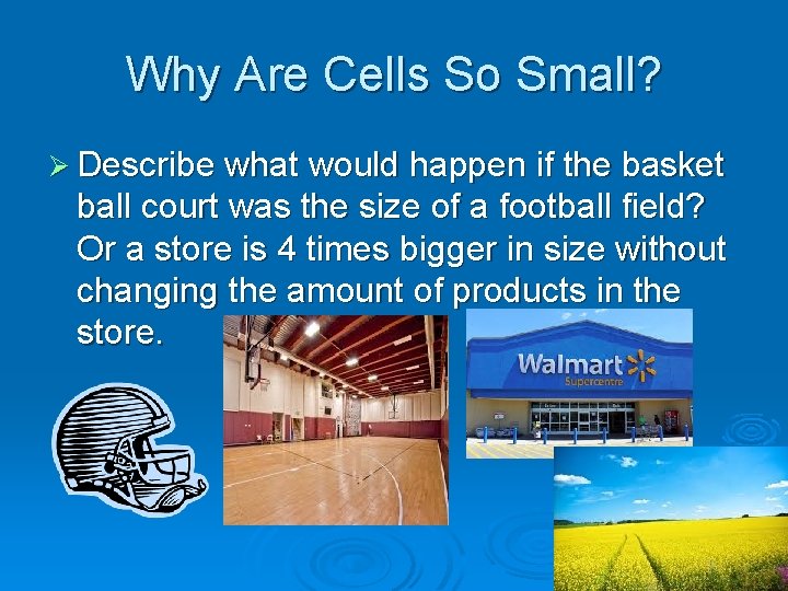 Why Are Cells So Small? Ø Describe what would happen if the basket ball