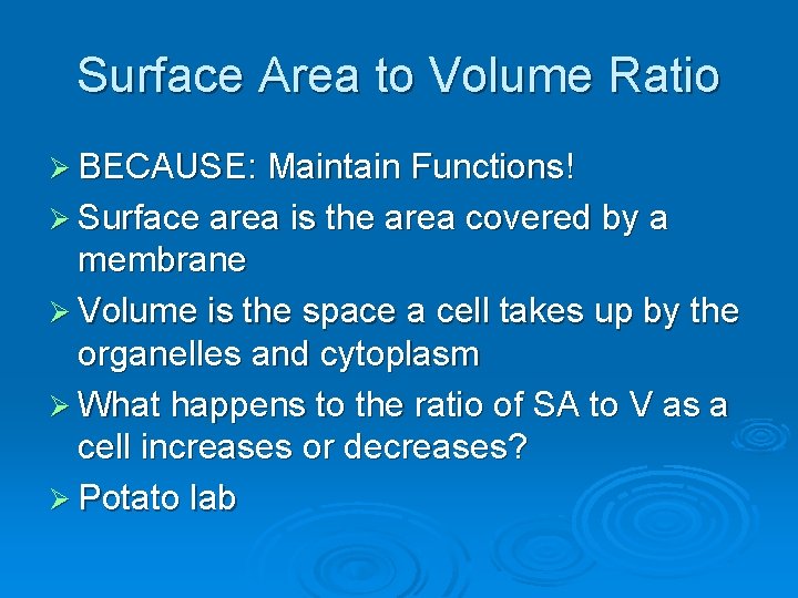 Surface Area to Volume Ratio Ø BECAUSE: Maintain Functions! Ø Surface area is the