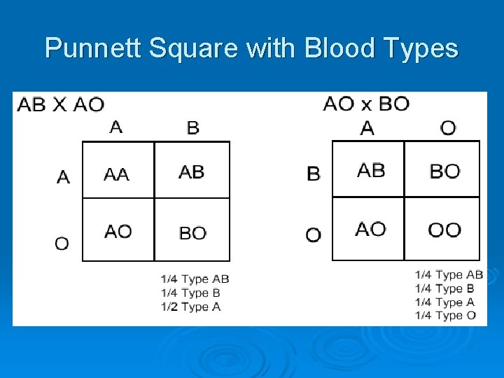 Punnett Square with Blood Types 