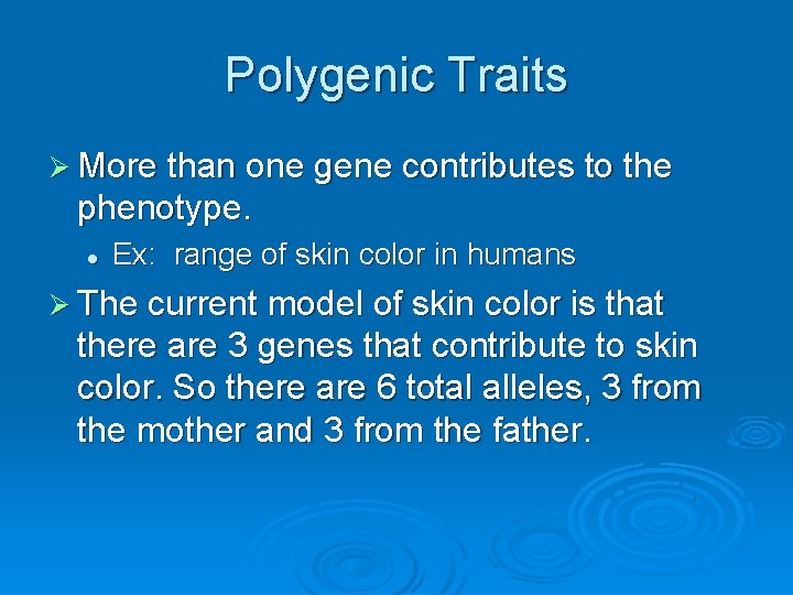 Polygenic Traits Ø More than one gene contributes to the phenotype. l Ex: range