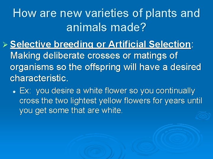 How are new varieties of plants and animals made? Ø Selective breeding or Artificial How are new varieties of plants and animals made? Ø Selective breeding or Artificial