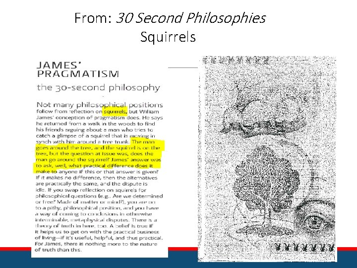 From: 30 Second Philosophies Squirrels 