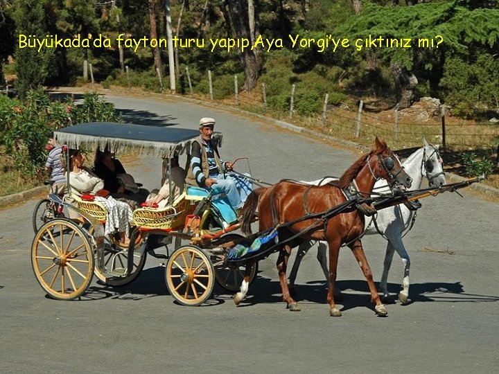 Büyükada’da fayton turu yapıp, Aya Yorgi’ye çıktınız mı? 