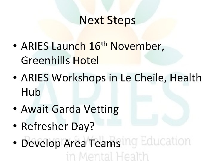 Next Steps • ARIES Launch 16 th November, Greenhills Hotel • ARIES Workshops in Next Steps • ARIES Launch 16 th November, Greenhills Hotel • ARIES Workshops in
