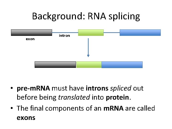 Background: RNA splicing exon intron • pre-m. RNA must have introns spliced out before