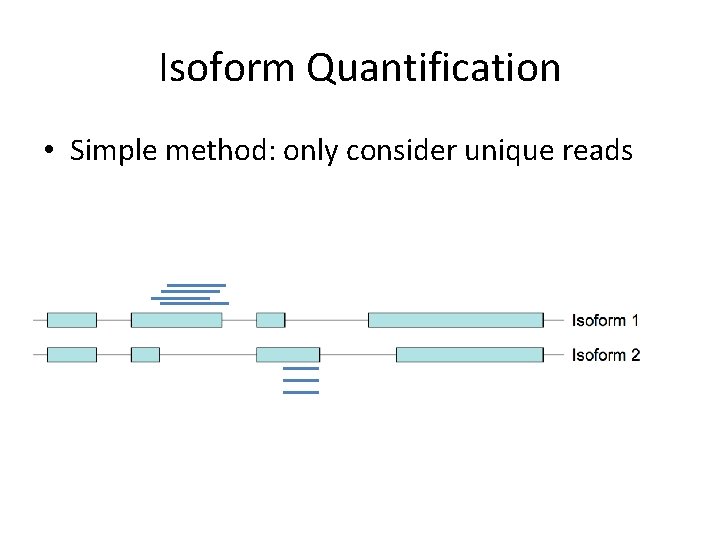 Isoform Quantification • Simple method: only consider unique reads 