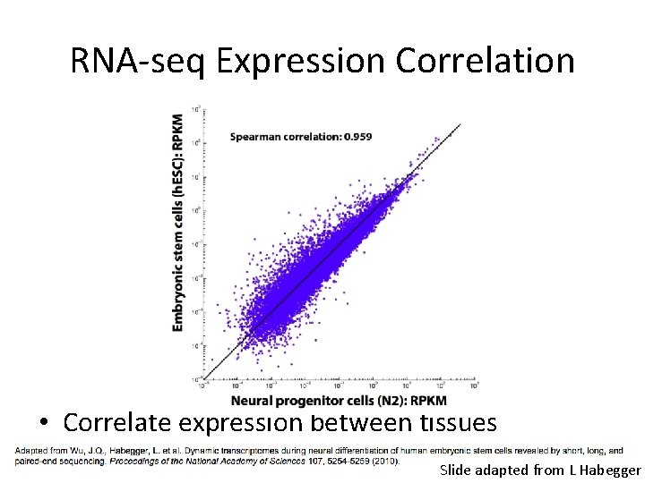 RNA-seq Expression Correlation • Correlate expression between tissues Slide adapted from L Habegger 