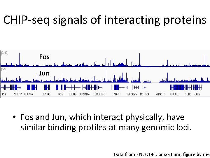 CHIP-seq signals of interacting proteins Fos Jun • Fos and Jun, which interact physically,