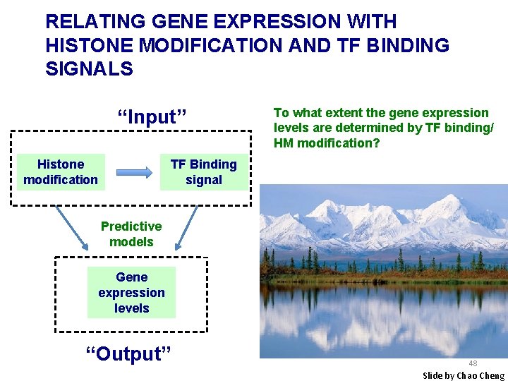 RELATING GENE EXPRESSION WITH HISTONE MODIFICATION AND TF BINDING SIGNALS “Input” Histone modification To