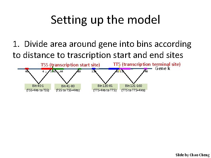 Setting up the model 1. Divide area around gene into bins according to distance