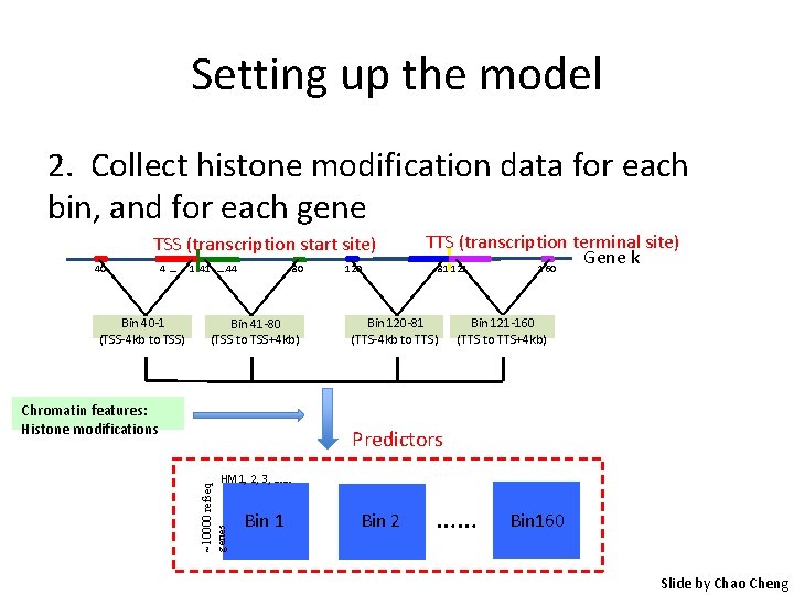 Setting up the model 2. Collect histone modification data for each bin, and for