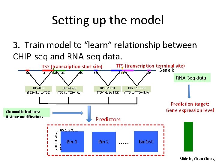 Setting up the model 3. Train model to “learn” relationship between CHIP-seq and RNA-seq