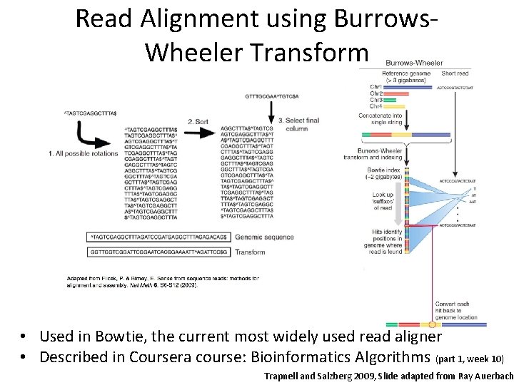 Read Alignment using Burrows. Wheeler Transform • Used in Bowtie, the current most widely