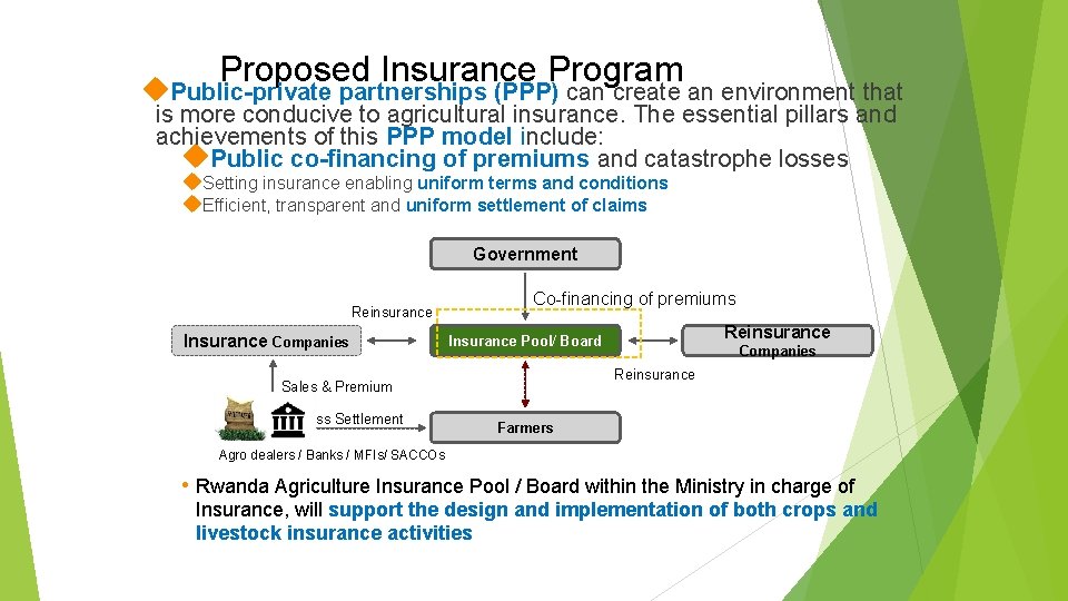Proposed Insurance Program Public-private partnerships (PPP) can create an environment that is more conducive