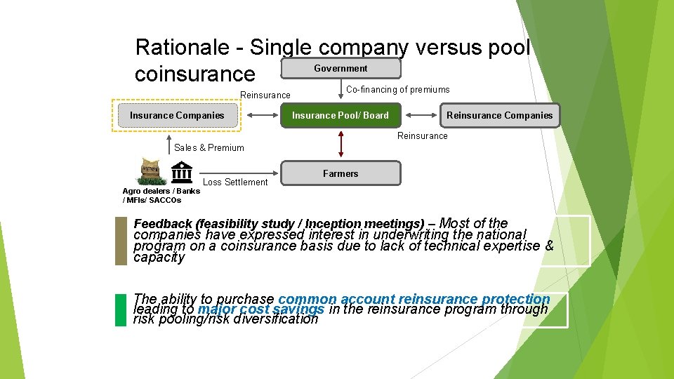 Rationale - Single company versus pool Government coinsurance Co-financing of premiums Reinsurance Insurance Companies
