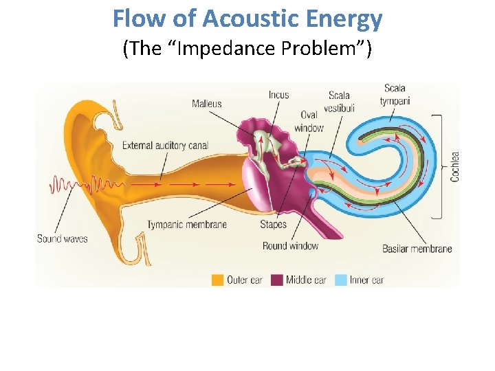 Flow of Acoustic Energy (The “Impedance Problem”) 