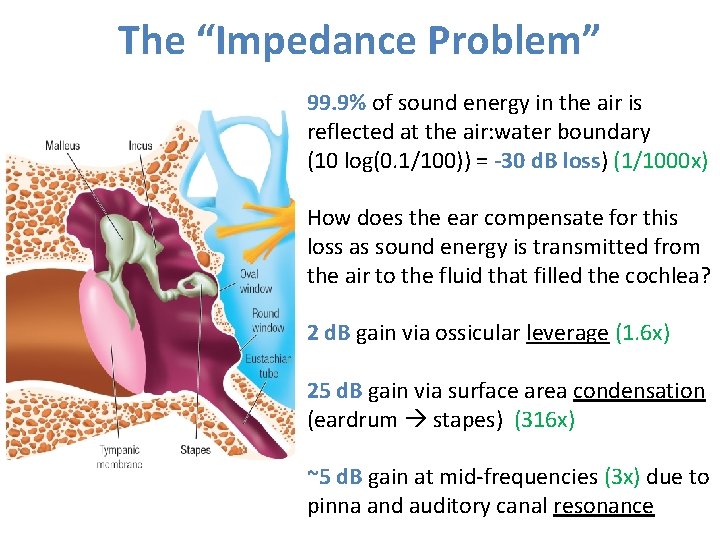 The “Impedance Problem” 99. 9% of sound energy in the air is reflected at