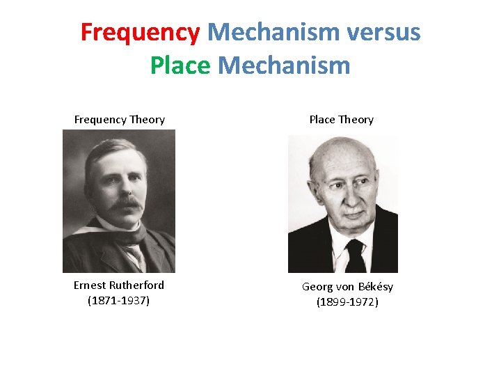 Frequency Mechanism versus Place Mechanism Frequency Theory Ernest Rutherford (1871 -1937) Place Theory Georg