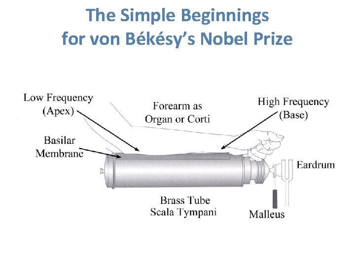 The Simple Beginnings for von Békésy’s Nobel Prize 