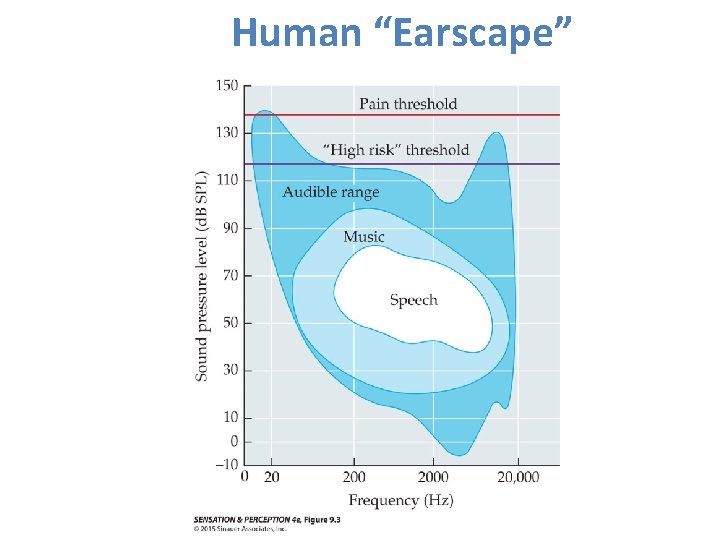 Human “Earscape” 