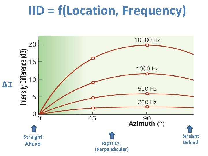 IID = f(Location, Frequency) ΔI Straight Ahead Right Ear (Perpendicular) Straight Behind 