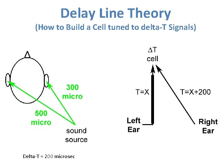 Delay Line Theory (How to Build a Cell tuned to delta-T Signals) Delta-T =