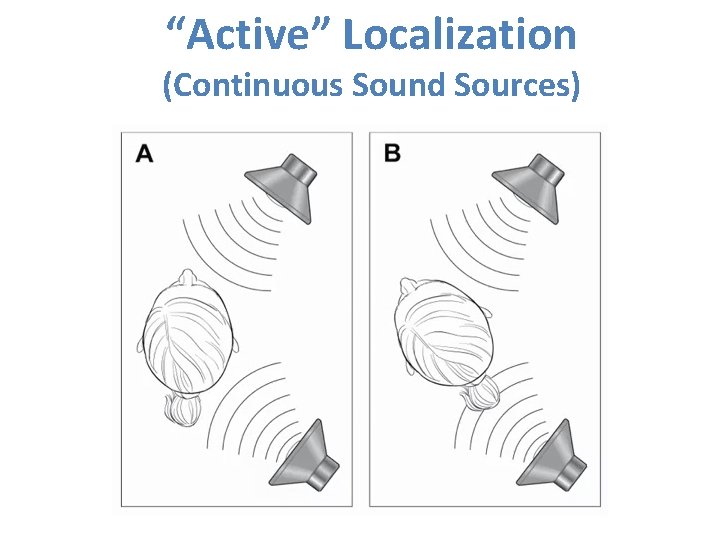 “Active” Localization (Continuous Sound Sources) 