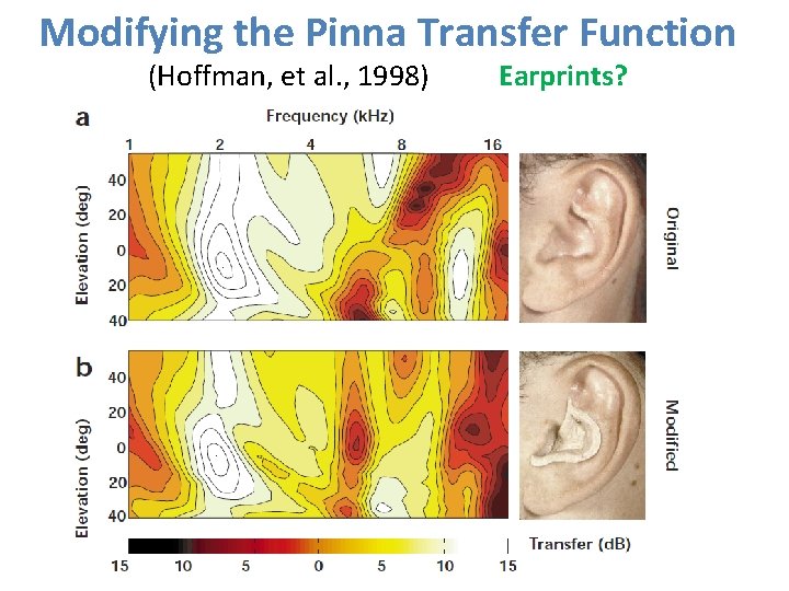 Modifying the Pinna Transfer Function (Hoffman, et al. , 1998) Earprints? 