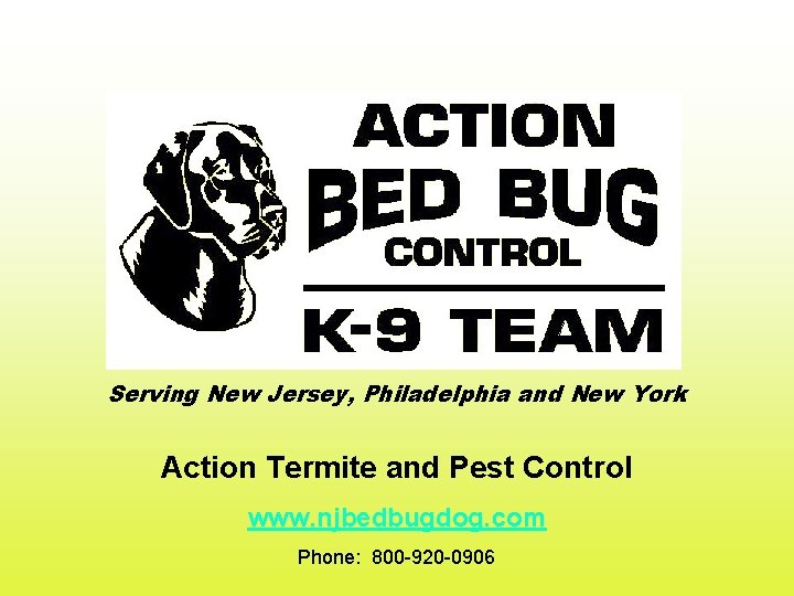 Serving New Jersey, Philadelphia and New York Action Termite and Pest Control www. njbedbugdog.