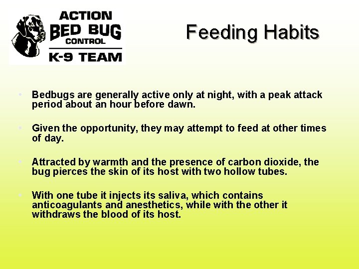 Feeding Habits • Bedbugs are generally active only at night, with a peak attack