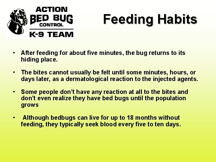 Feeding Habits • After feeding for about five minutes, the bug returns to its