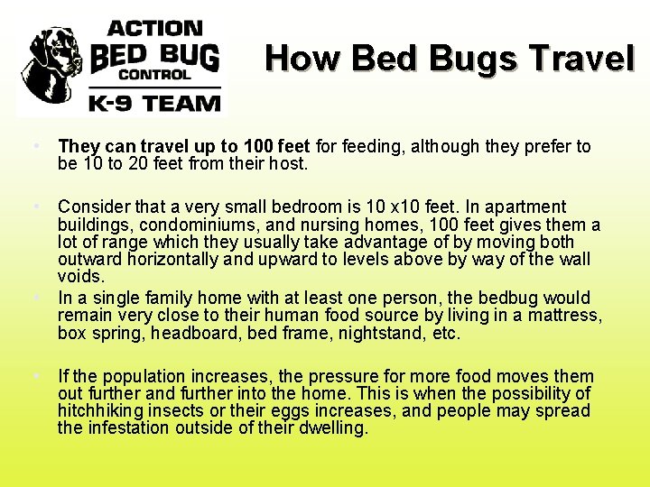 How Bed Bugs Travel • They can travel up to 100 feet for feeding,