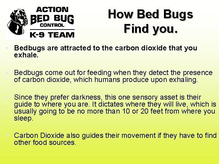 How Bed Bugs Find you. • Bedbugs are attracted to the carbon dioxide that