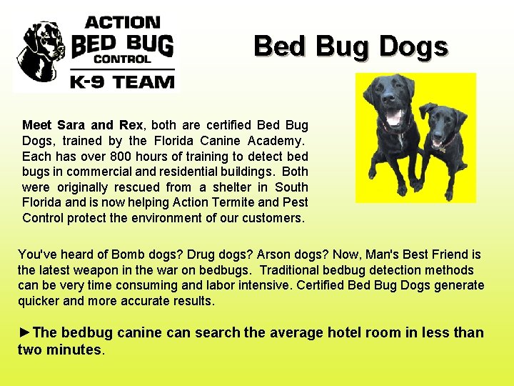 Bed Bug Dogs Meet Sara and Rex, both are certified Bug Dogs, trained by