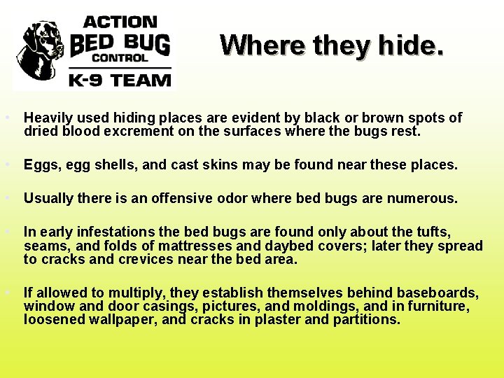 Where they hide. • Heavily used hiding places are evident by black or brown