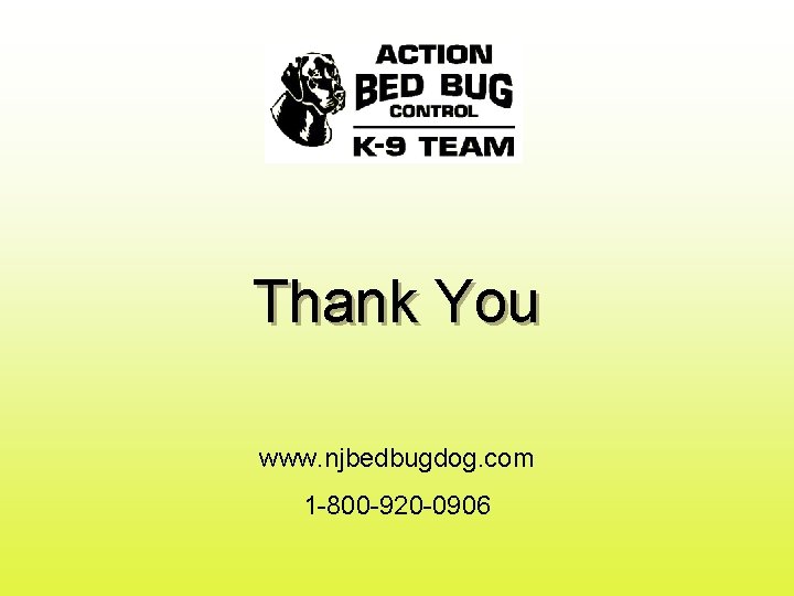 Thank You www. njbedbugdog. com 1 -800 -920 -0906 