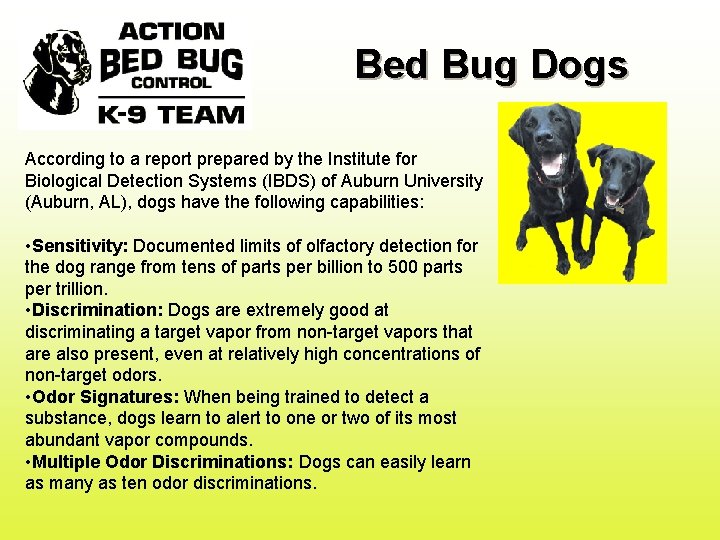 Bed Bug Dogs According to a report prepared by the Institute for Biological Detection