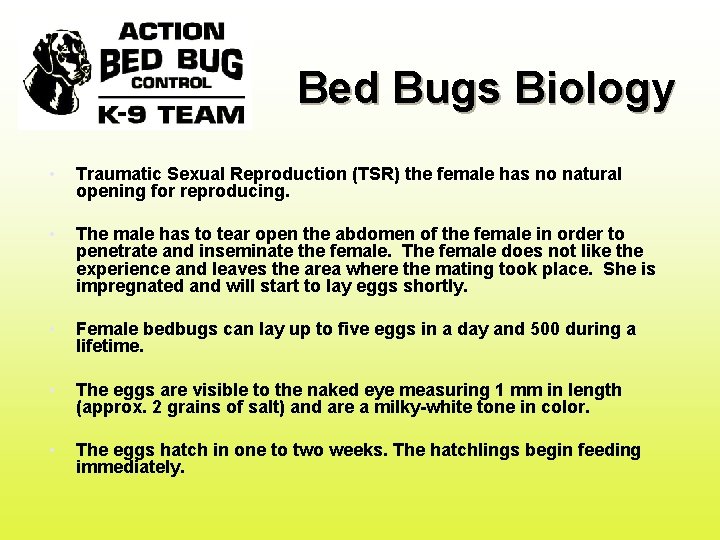 Bed Bugs Biology • Traumatic Sexual Reproduction (TSR) the female has no natural opening