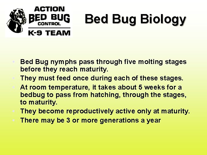 Bed Bug Biology • Bed Bug nymphs pass through five molting stages before they