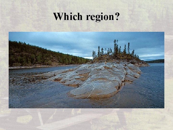 Which region? 