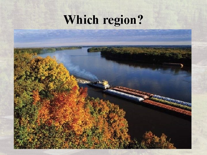 Which region? 