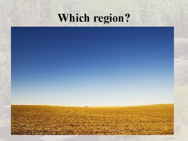 Which region? 