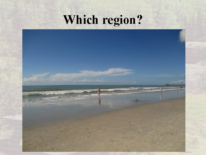 Which region? 