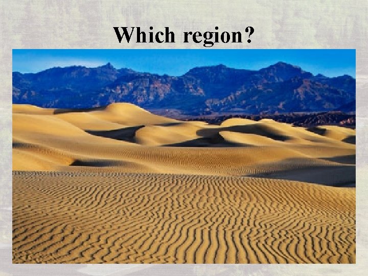 Which region? 